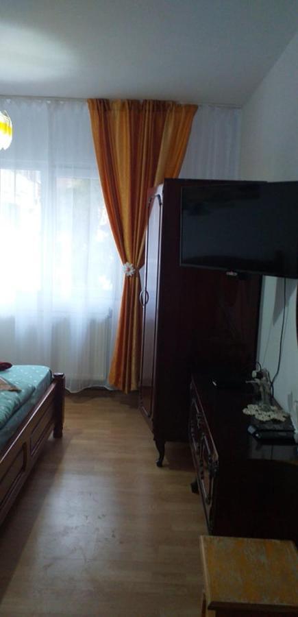 Apartament Aurora Slănic-Moldova Екстериор снимка