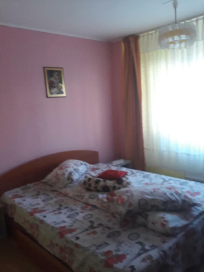 Apartament Aurora Slănic-Moldova Екстериор снимка